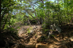 両崖山の岩場