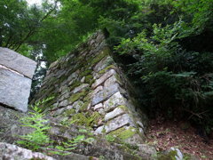 彦根城の石垣