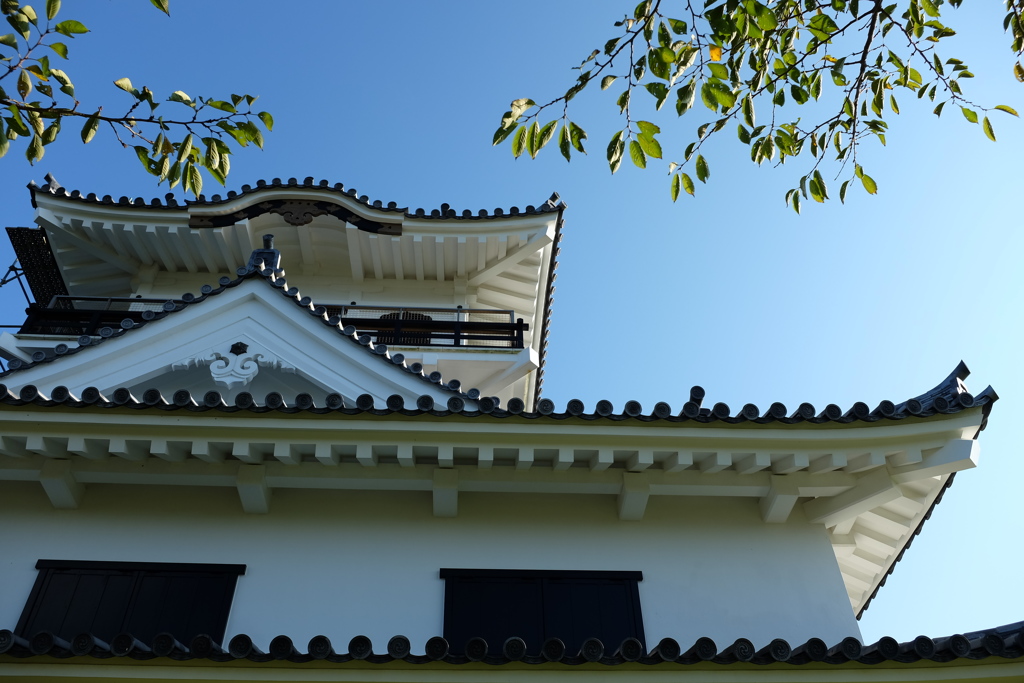 館山城と青空