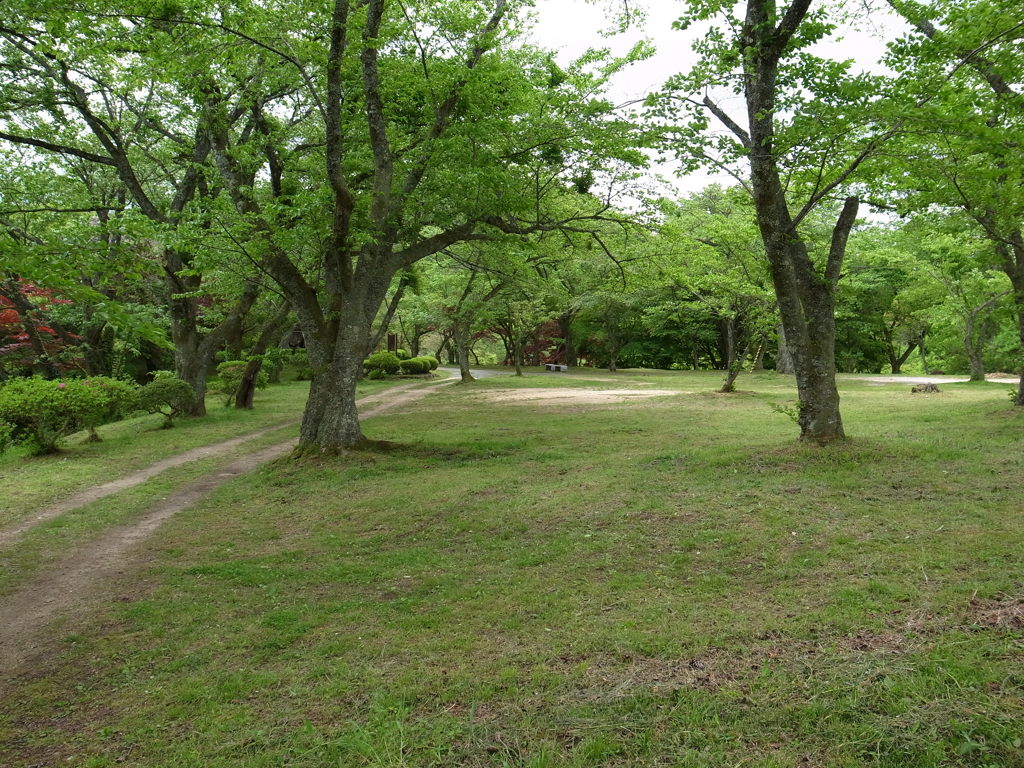 太鼓壇公園