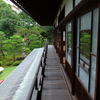 慶雲館と緑