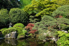 鑁阿寺の緑あふれる庭