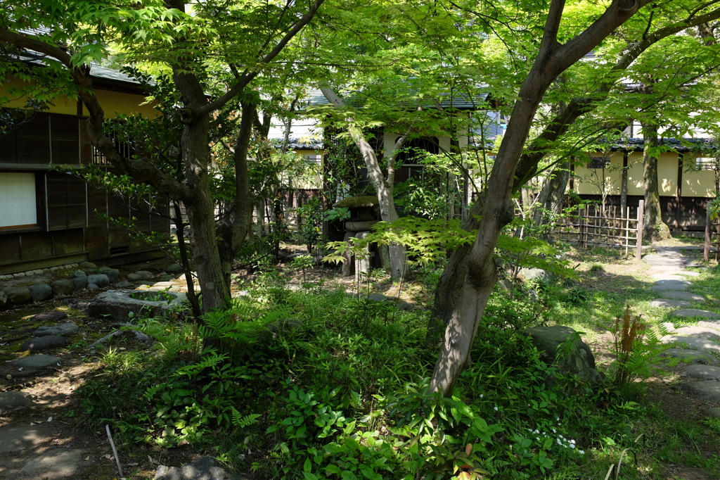 物外軒の茶室と庭園