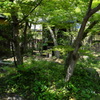 物外軒の茶室と庭園