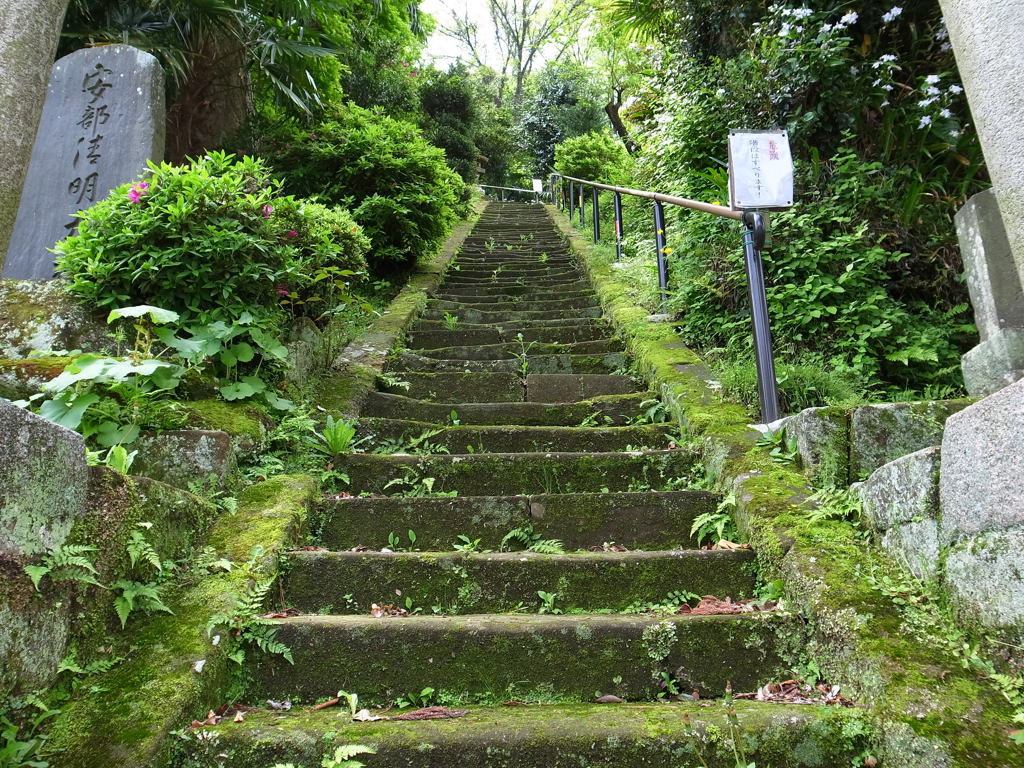 円応寺の苔の石段