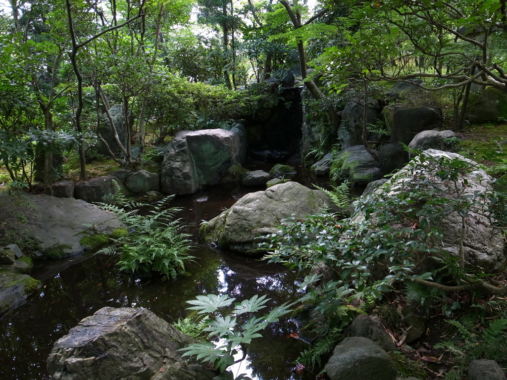 日本庭園の池と緑