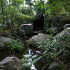 日本庭園の池と緑