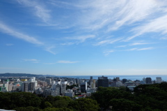 小田原市街と相模湾