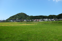 緑あふれる館山