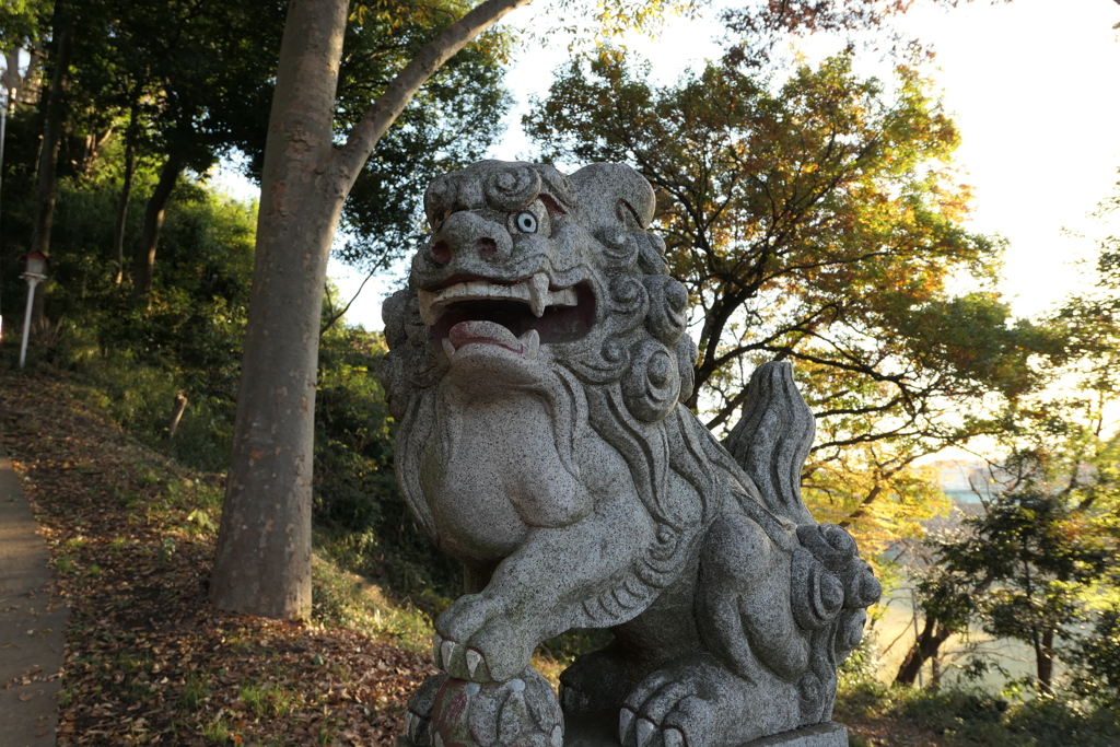 城山神社の狛犬