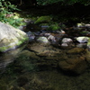 滑沢川の透き通る水