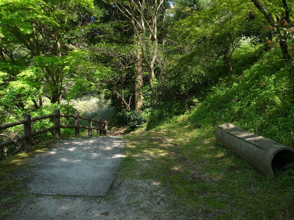 立久恵峡の遊歩道