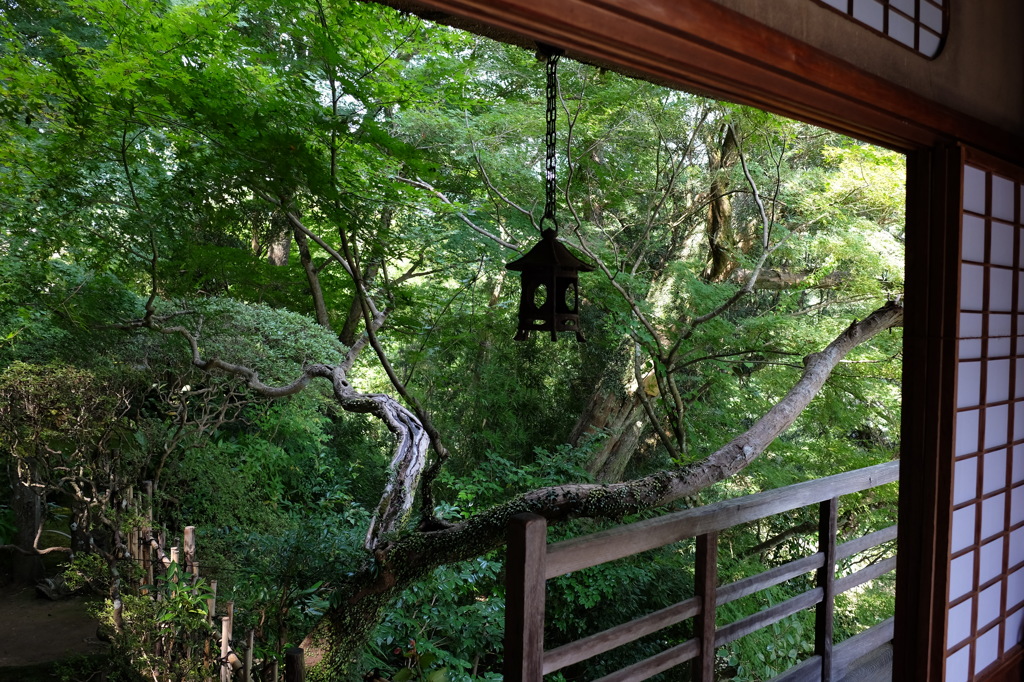 臥龍山荘のあふれる緑