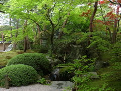 緑あふれる日本庭園