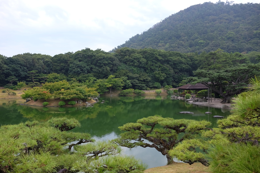 栗林公園の池と緑