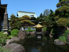 お寺の池と緑