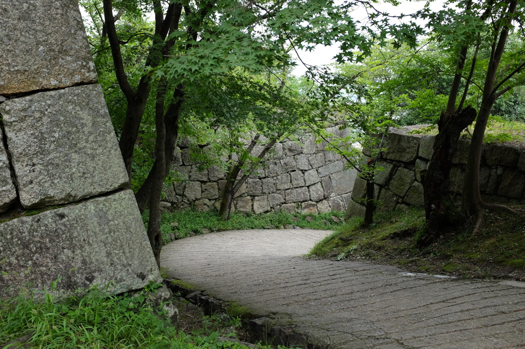 丸亀城の石垣と道