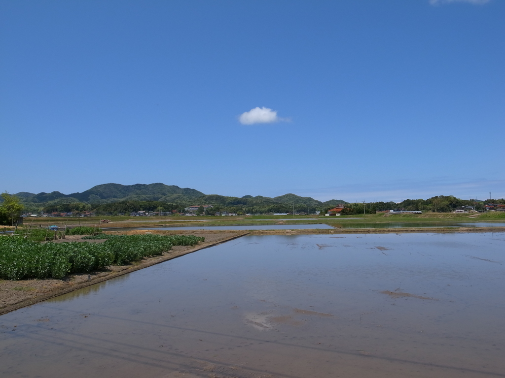 水の張った田んぼと青空