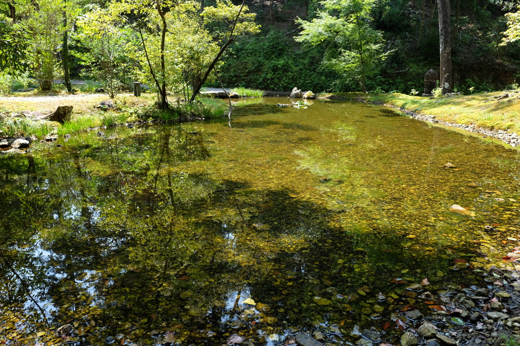 竹林寺の池