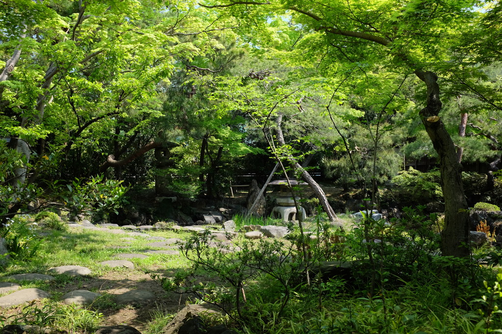 物外軒の緑あふれる庭