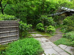 東慶寺の緑あふれる庭