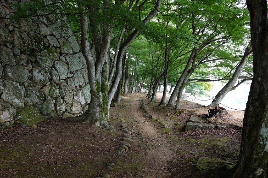 津山城の小道