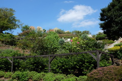 伊豆四季の花公園