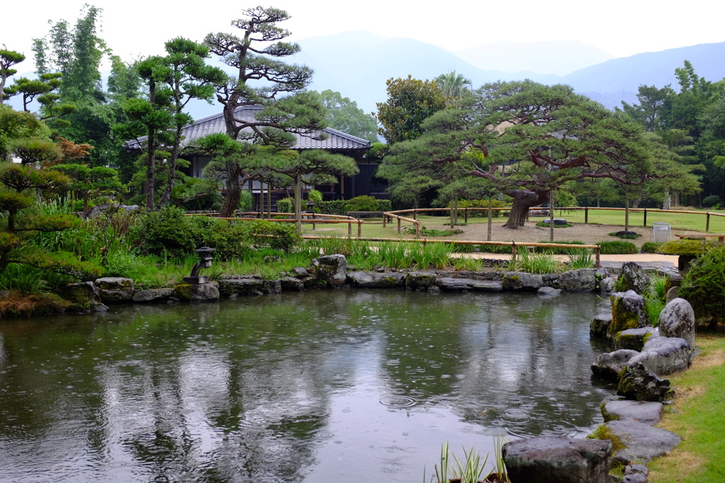 雨の中の天赦園