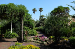 伊豆四季の花公園