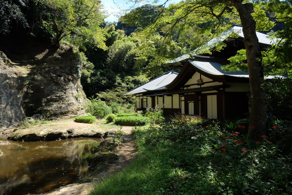 瑞泉寺の方丈と池