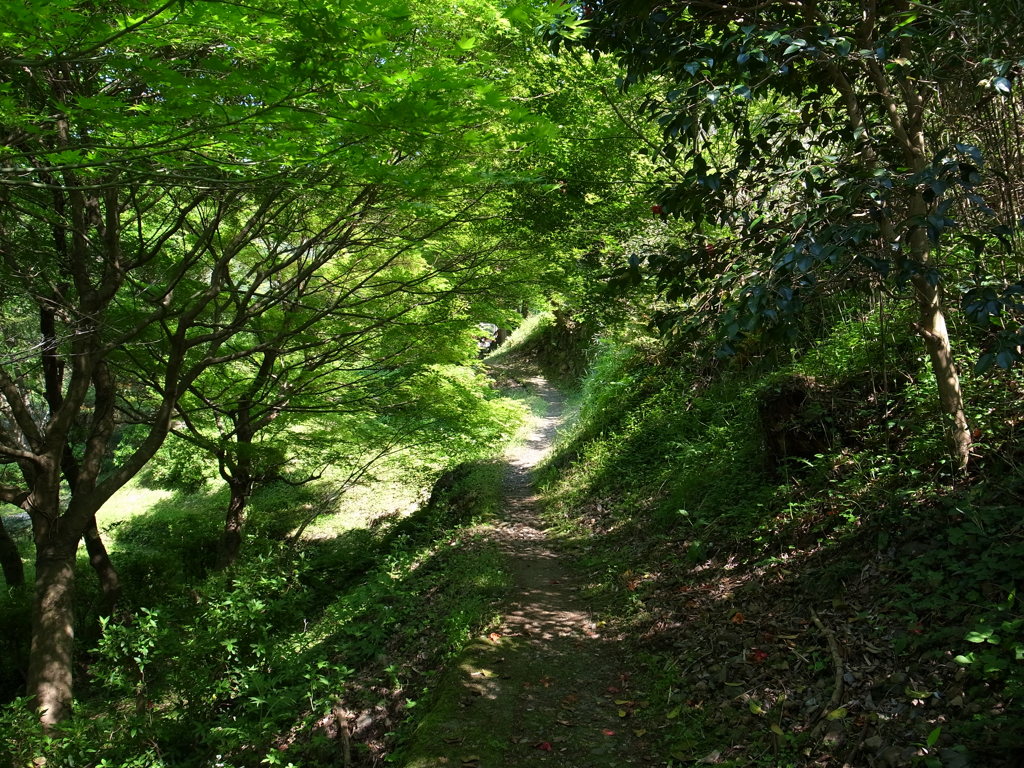 立久恵峡の遊歩道