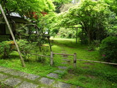 浄智寺の緑の庭