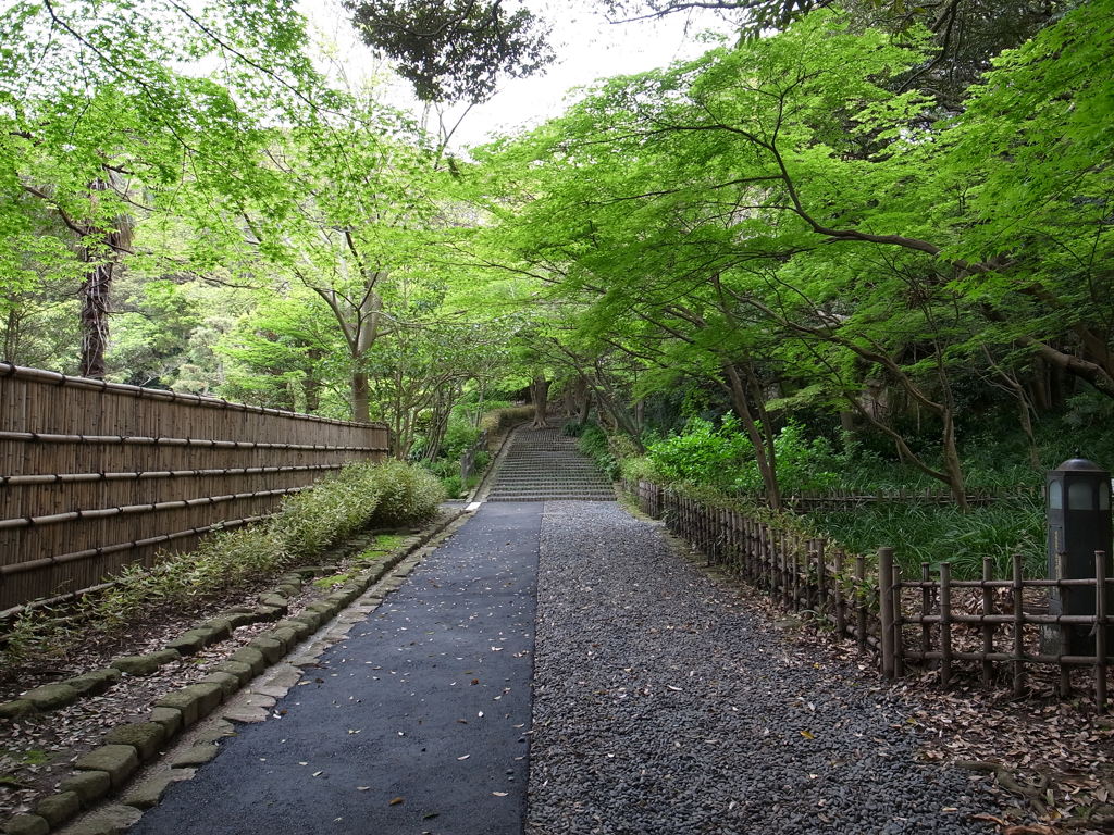 緑の小道