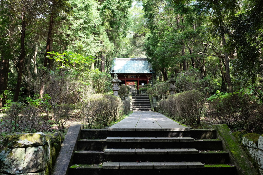 日本寺の参道と仁王門