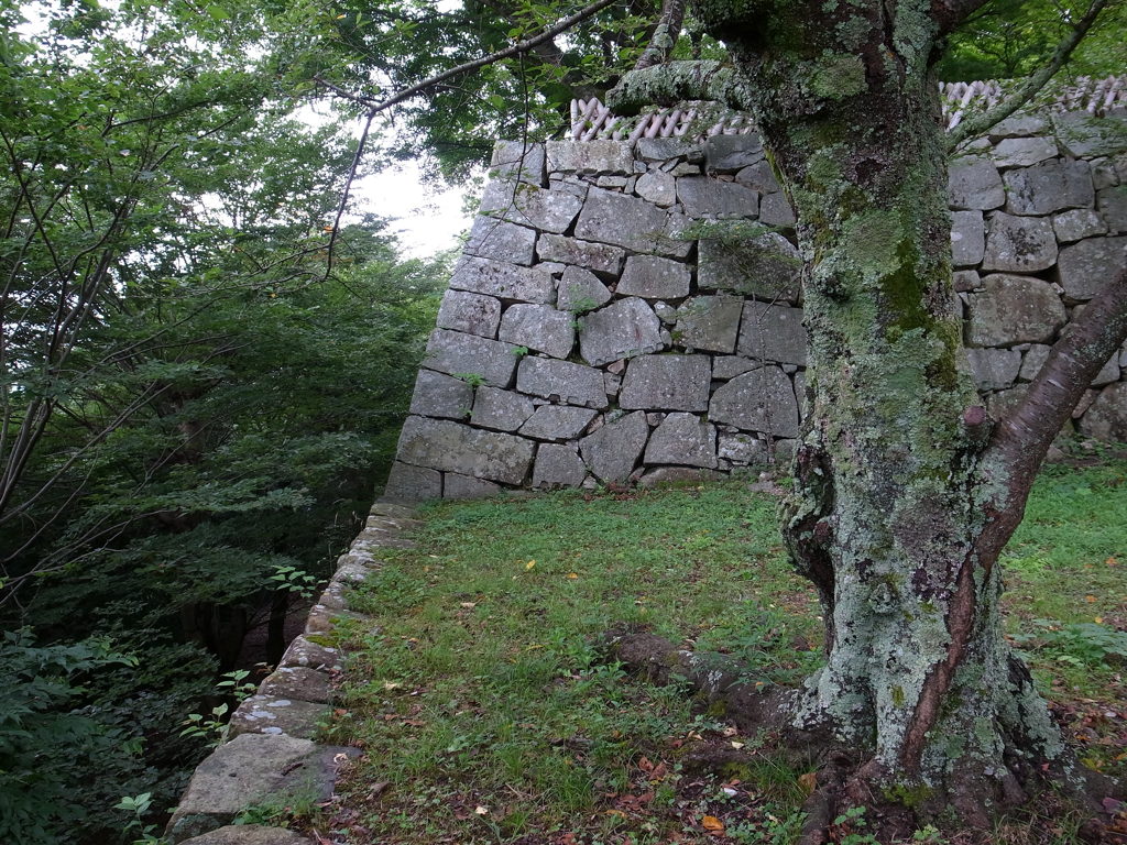 彦根城の石垣