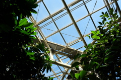 温室の天井