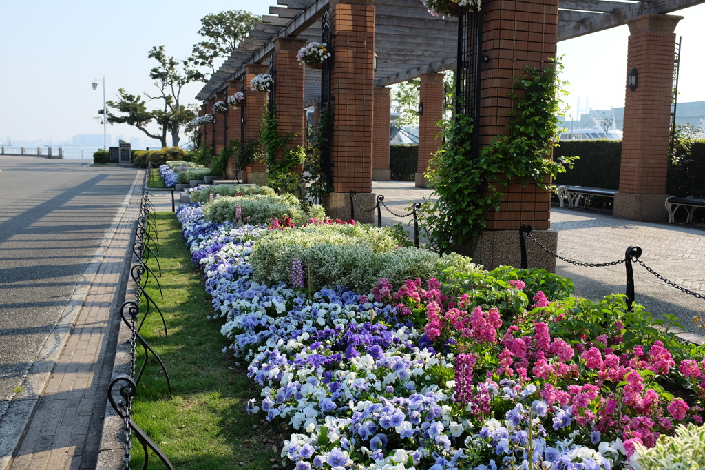 山下公園の花壇
