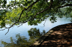 一碧湖と遊歩道