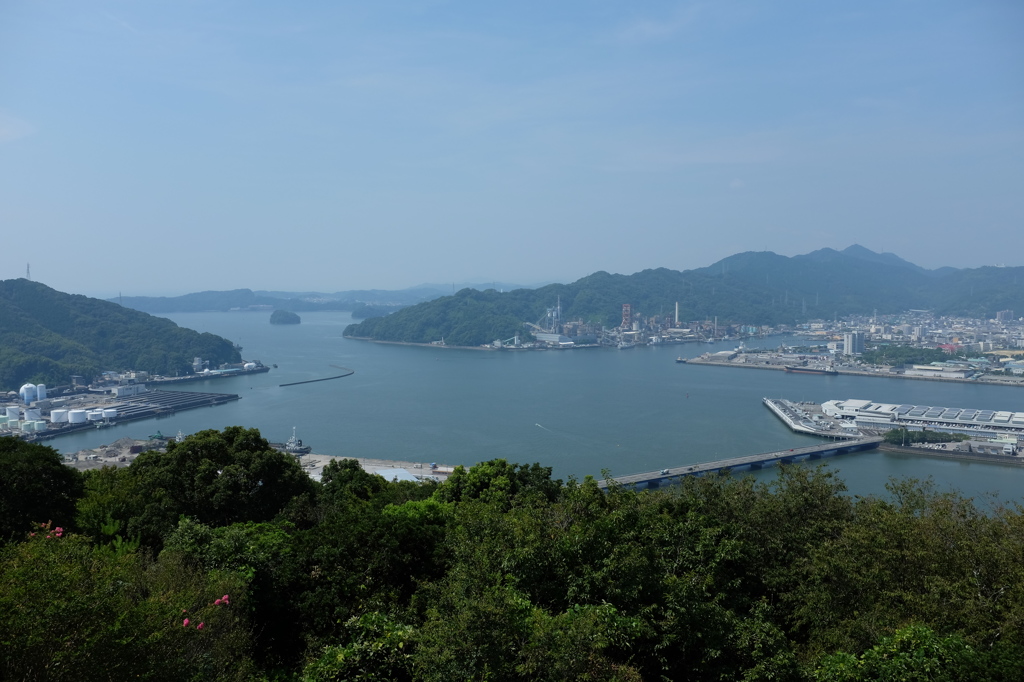 高知の浦戸湾