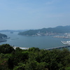 高知の浦戸湾