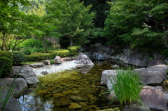 松山城二之丸史跡庭園の池