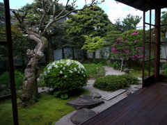小泉八雲旧居の庭