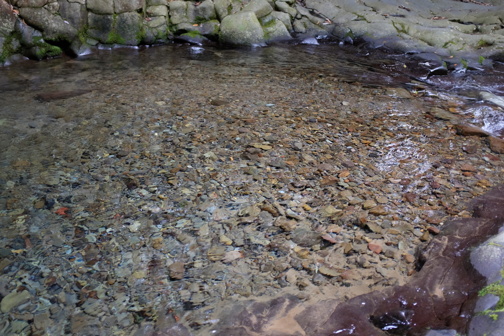 透き通る川の水