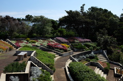 伊豆四季の花公園