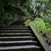 緑の中の石段