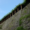 津山城の石垣