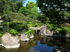 徳水亭の池と緑