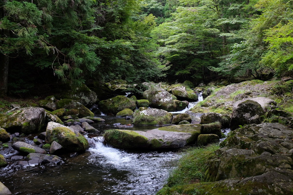 涼しげな滑沢渓谷