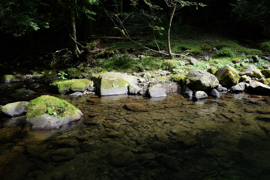 滑沢川の透き通る水