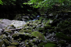 苔むした石と滑沢川